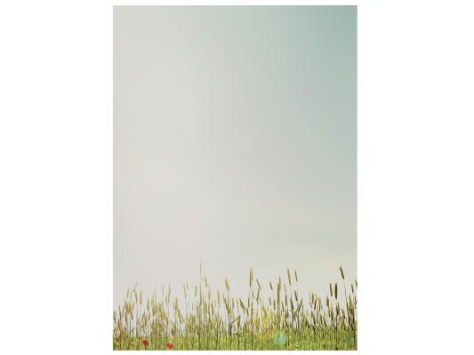 Spring Flowers Stationery  Writing paper